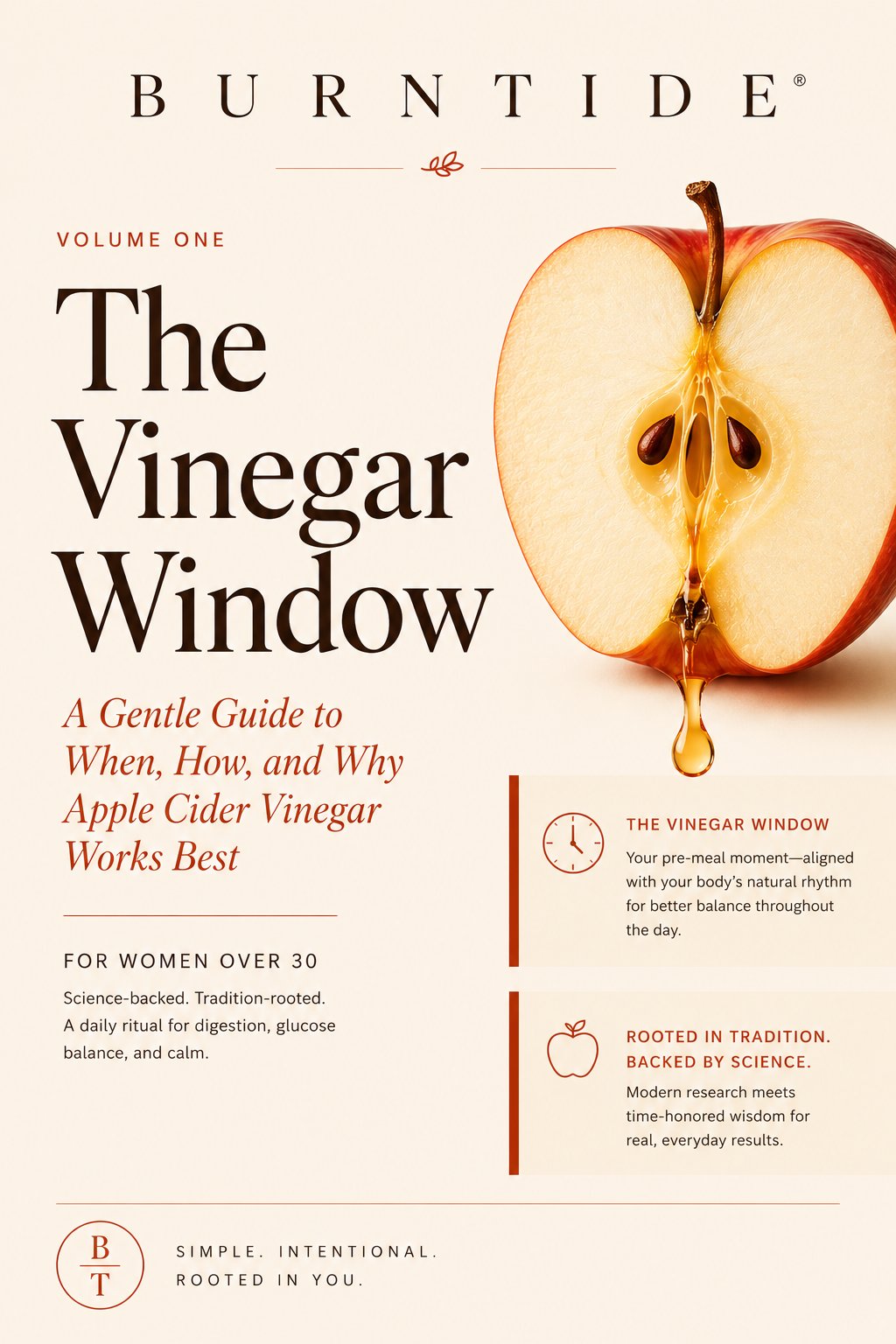 Burntide Volume One, The Vinegar Window bonus guide cover