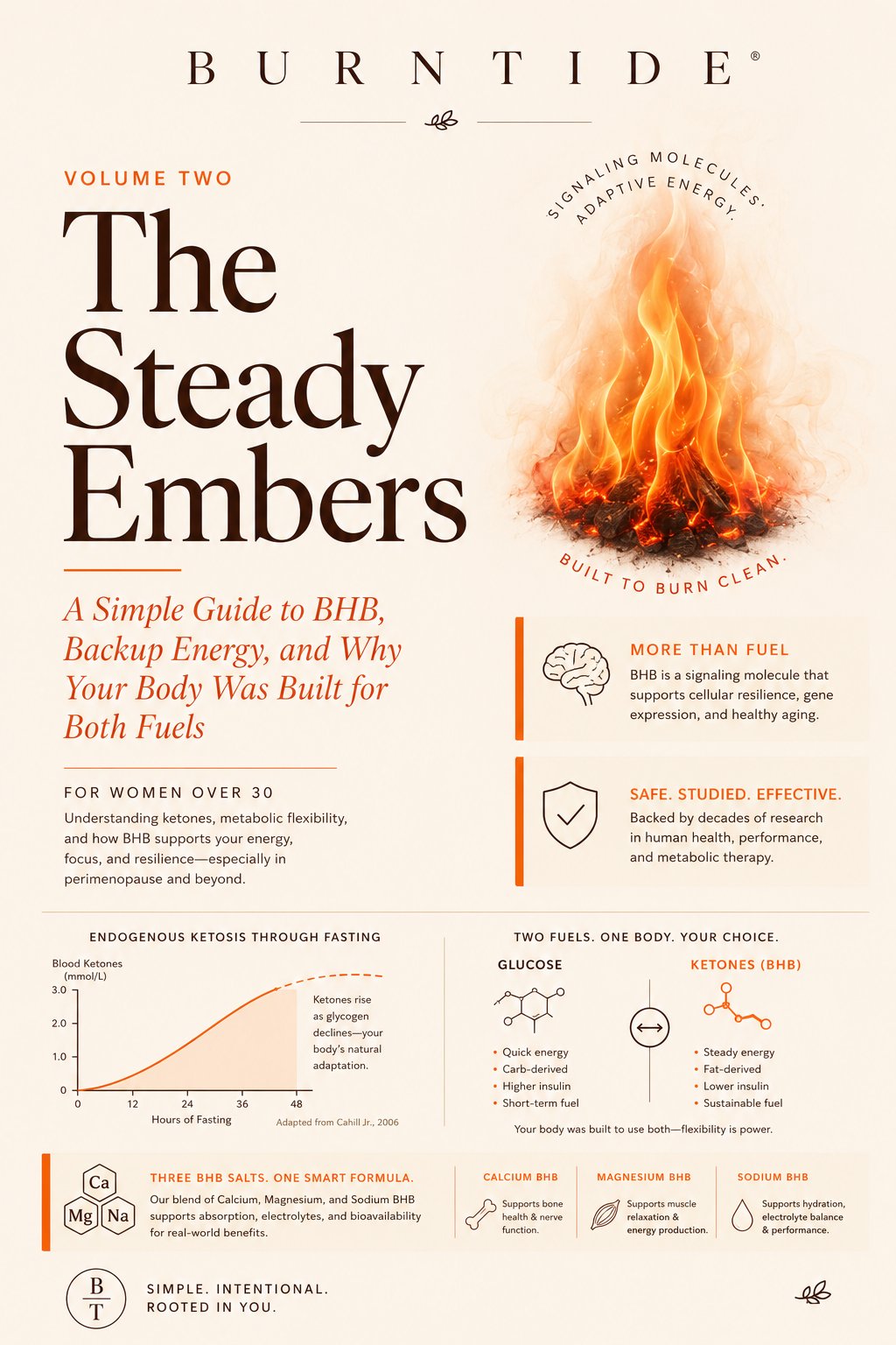 Burntide Volume Two, The Steady Embers bonus guide cover